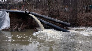 Трамп заявил об экологической катастрофе в Вашингтоне