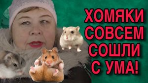 УРАЛЬСКИЕ ХОМЯКИ СДУРЕЛИ! ОЛЬГА УРАЛОЧКА LIVE. ОБЗОР.