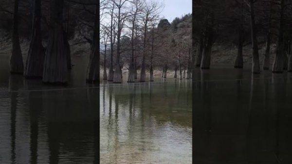 Кипарисовое озеро Сукко 21 Февраля 2026 года. Репортаж Светланы Тихоновы.