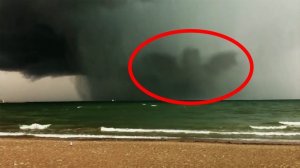 8 Гигантских Существ Пойманных на Камеру