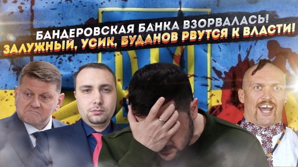 Зоопарк 404-й: Залужный обвинил Зеленского в покушении, Усик метит в президенты, Буданов точит нож!