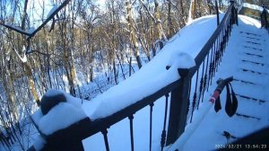 13 лыжный поход. Воробьёвы горы.