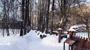 МОСКВА В СИЛЬНЫЙ СНЕГОПАД 2026: Тихая зимняя прогулка по парку