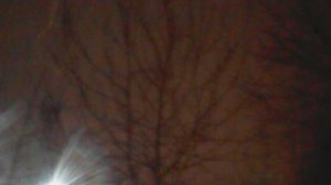 февральский УЛИЧНЫЙ СНЕЖНЫЙ БЛОГ №1645 ПОРА ПО БУТОВО ГУЛЯТЬ ПРОГУЛОЧКА ПО БУТОВО. (11.02.2026г)🌹