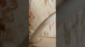 Душевые песни