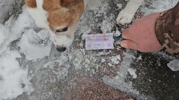 Сытники- Нам подкинули деньги