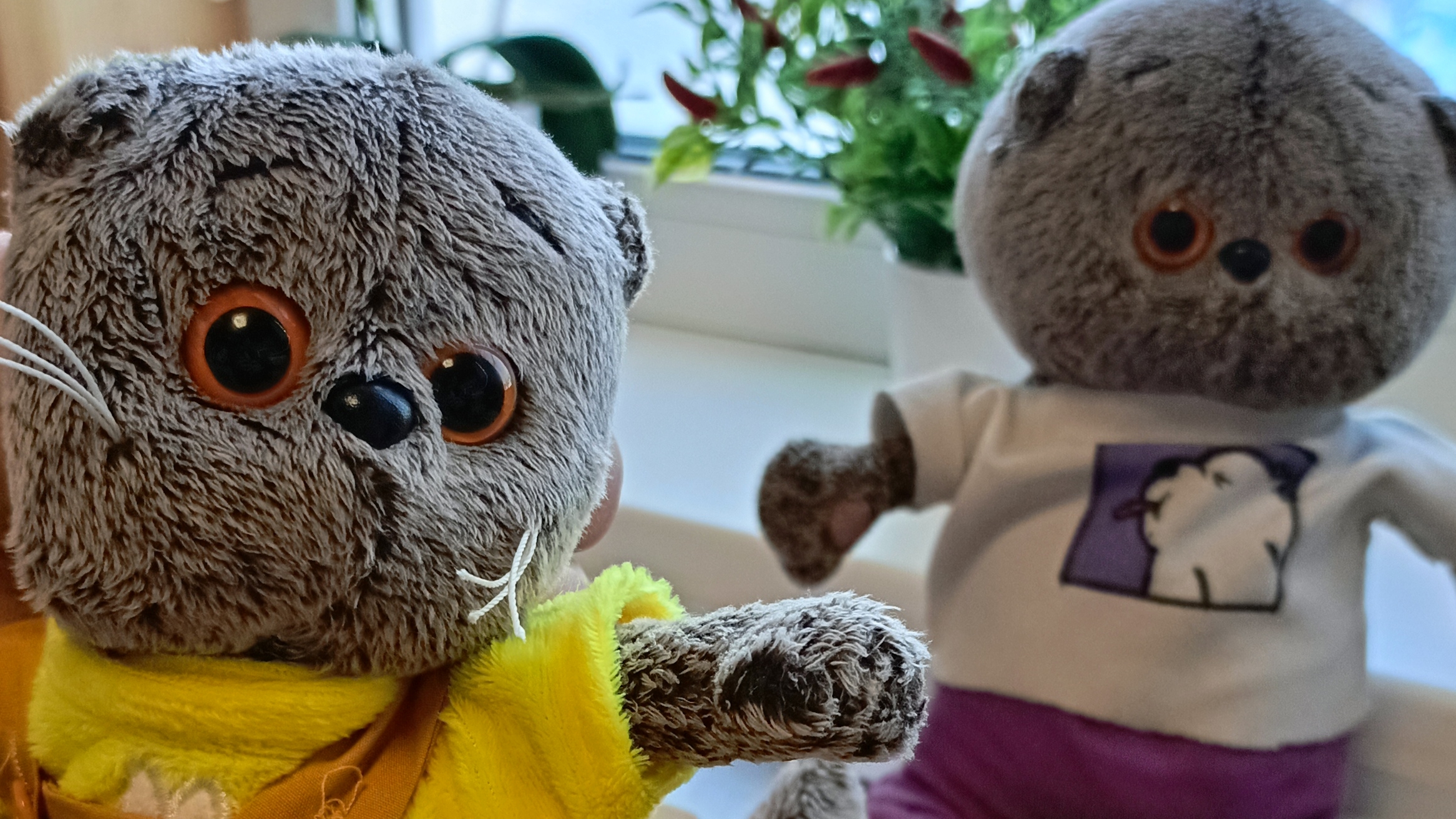 открываем сюрприз бокс с басиками