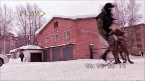 Защитный раздел (ЗКС).