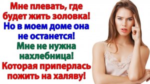 Золовка приехала с чемоданами! Сначала за дверь вылетел чемодан, а потом она! | Истории Из Жизни