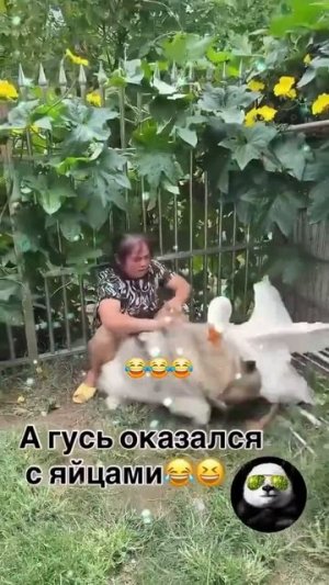 Видео от Департамент Вирусного Контента | ДВК