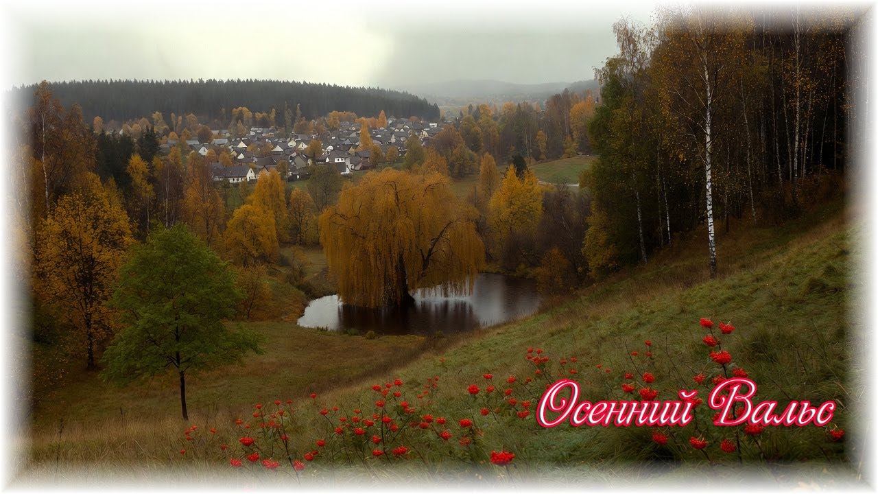 SHSR2025 - Осенний вальс - Autumn Waltz  (260120-v22)