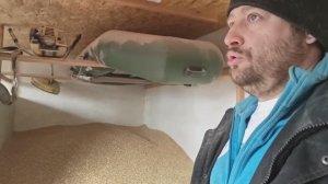 Перенес всё зерно, куча работы, за что браться? Уборка у поросят.