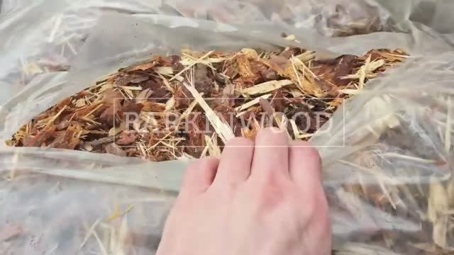 Кора сосны (фракция микс)