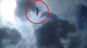 10 Ангелов Снятых на Камеру
