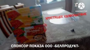 Спонсор Показа «Mega Chips» (Первый Канал Варя, Сентябрь 2012 — апрель 2013)