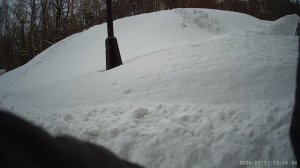 13 лыжный поход. Воробьёвы горы.