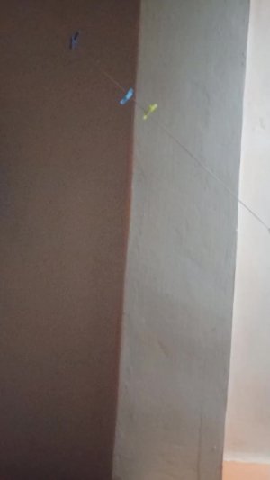 Тим млчлтидиба