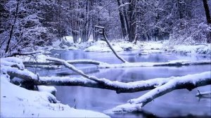 Никогда не делайте это 21 февраля. Эта ошибка перекроет денежный поток.