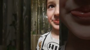 пранк над кульером