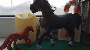 ответы на конкурс от конного клуба колекта