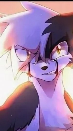 Быстролап/КВ