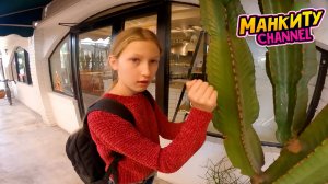 Манкиту летят в Америку-США