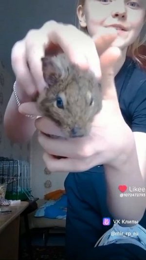 С роки❤️