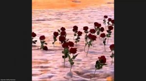 здоровые дети