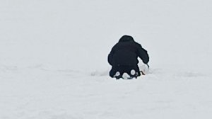 VID_20260221_130914_568