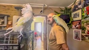 У Жорика ПОЕТ ДУША и он сам поет показывая Кире кого нужно ЛЮБИТЬ)))