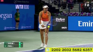 Свитолина - Пегула