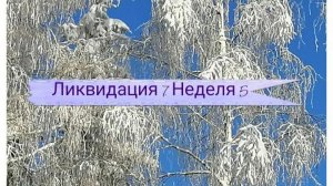 СП "Ликвидация 7". Неделя 5. Участник 9