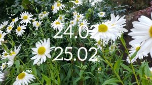 Лунный календарь комнатного цветовода с23.02-1.03.26г.