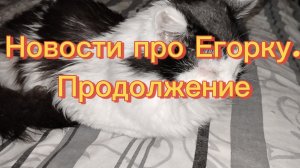 21-02-2026 Новости про Егорку.Продолжение.