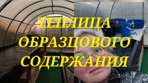 Тепличный марафет.Командирша.СНТ Утиный рай.