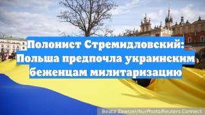 Полонист Стремидловский: Польша предпочла украинским беженцам милитаризацию