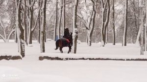 ЛОШАДКА СКАЧЕТ