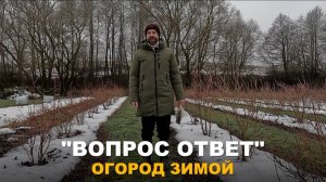 РУБРИКА "ВОПРОС-ОТВЕТ": О клубнике, голубике, обрезке сада, туях и биопрепаратах.