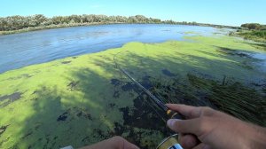 КРУПНАЯ РЫБА МОЩНО КЛЮНУЛА ВЕЧЕРОМ