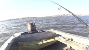 Рыбалка в декабре. Ловим судака на мандулы.