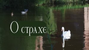 Сказка о страхе