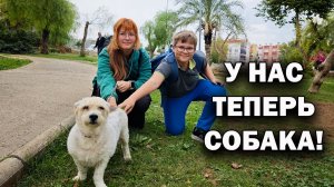 У НАС ТЕПЕРЬ СОБАКА! КАК СПРАВЛЯЕМСЯ #влог