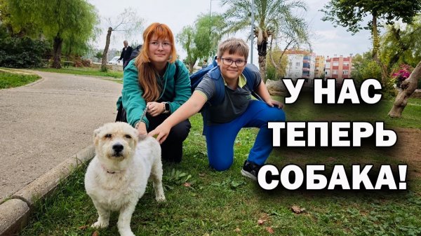 У НАС ТЕПЕРЬ СОБАКА! КАК СПРАВЛЯЕМСЯ #влог