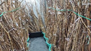 50% СКИДКА НА ВСЁ ЧТО ЕСТЬ В НАЛИЧИИ НА ДАННЫЙ МОМЕНТ! Telegram, WhatsApp, Vlber и MAX +79528500417.