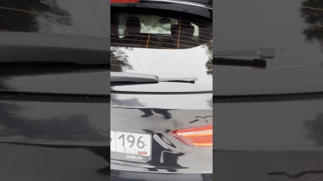 IMG_9554 смотреть онлайн