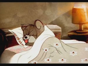 Мышонок  воришка-плутишка! 2