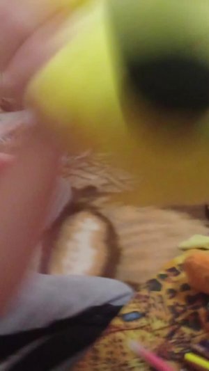 всем привет