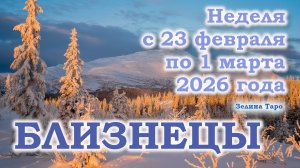БЛИЗНЕЦЫ | ТАРО прогноз на неделю с 23 февраля по 1 марта 2026 года