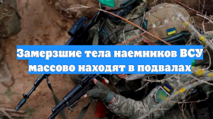 Замерзшие тела наемников ВСУ массово находят в подвалах