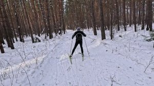 Дэн на лыжах